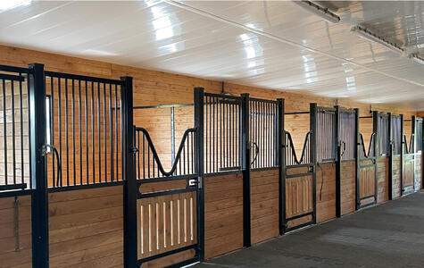 Wall&CeilingBoard in an Agricultural Horse Stable
