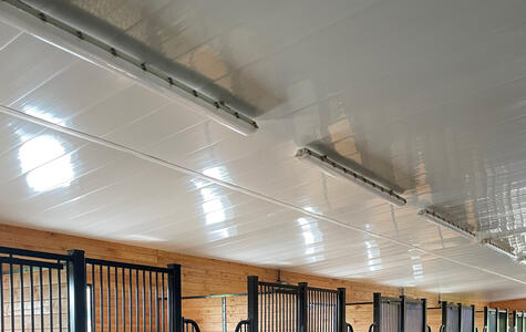 Wall&CeilingBoard in an Agricultural Horse Stable Wall&CeilingBoard in an Agricultural Horse Stable