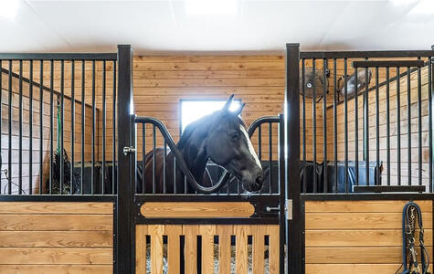 Wall&CeilingBoard in an Agricultural Horse Stable