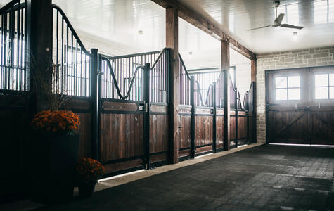 Trusscore Wall&CeilingBoard in an Agricultural Horse Stable