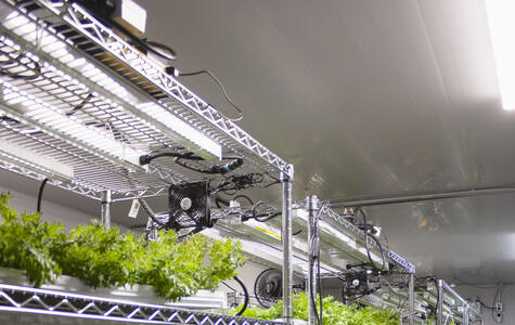 Trusscore Wall&CeilingBoard in Commercial Indoor Growing Facility