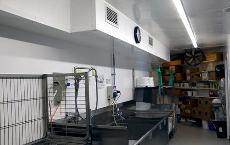 Trusscore Wall&CeilingBoard in Commercial Restaurant Kitchen