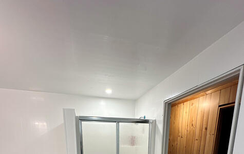 Trusscore Wall&CeilingBoard in Residential Basement Bathroom